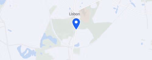 Lisbon Fall Festival Road Race