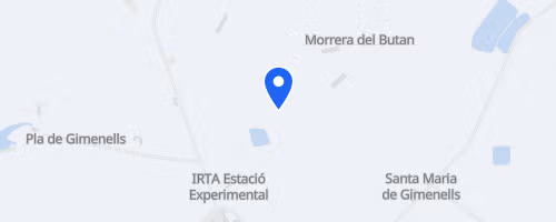 Social Run Gimenells