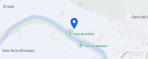 Marcha Nocturna de Zaragoza