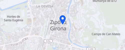 Cursa de la Dona Girona