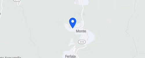 Trail In Monte