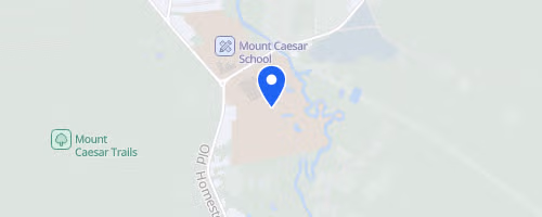 Swanzey Covered Bridges Half-Marathon, Elijah's Race