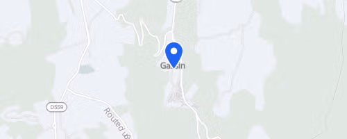 La gassinoise