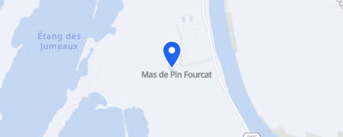 Course nature sauvage - Saintes-Maries-de-la-Mer