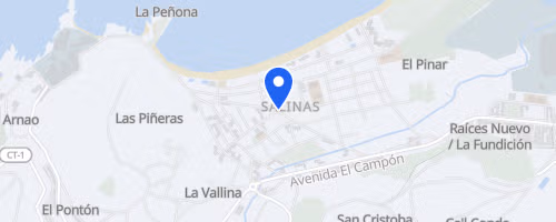 10K de Salinas
