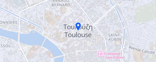 Toulouse Métropole Run Experience
