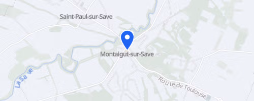 Forest Night - Montaigut Sur Save
