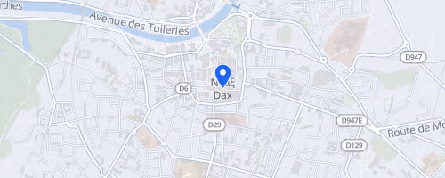 Les Foulées Roses de Dax