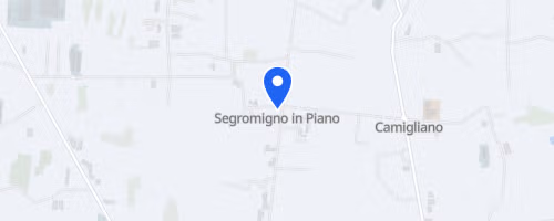 Walking For Simona - Segromigno in Piano