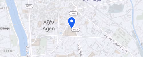 Les foulées du petit bleu - Agen