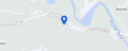 XII^ Run For Children