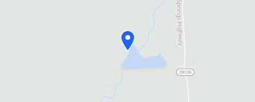 McKenzie River Trail Run
