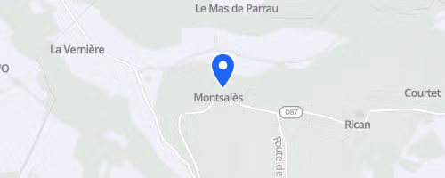 Course nocturne de Montsalès