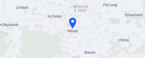 Les sources de la borne - Félines