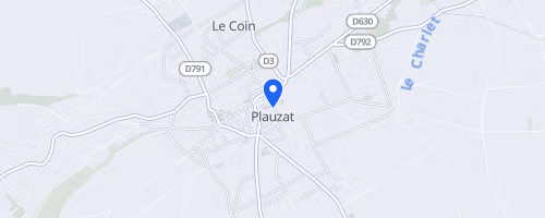 Les Courses Des Lions Et Des Lionceaux - Plauzat