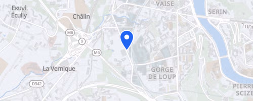 Aquathlon Du Lyon