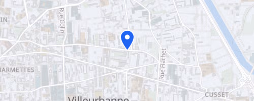 Cross de la feyssine - Villeurbanne