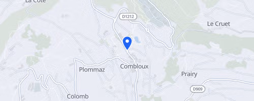 Handisport Coupe de France Ski alpin & Open - Combloux