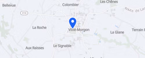 Beaujol'Trail Morgon