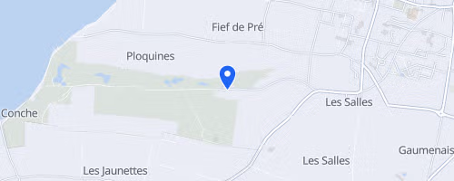 Trail du Golf de La Prée - Marsilly