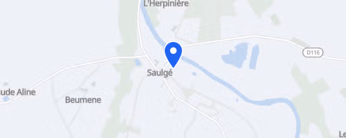 Course saulgéenne