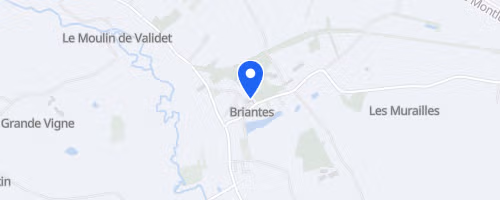 Foulées de Briantes