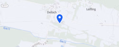 Lauf- und Walking Erlebnis Dellach (Raiffeisen Läufercup)