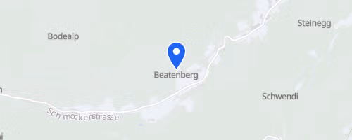 Niederhorn Berglauf