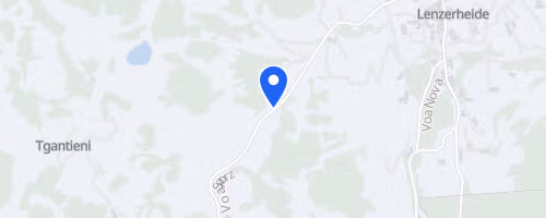 Transalpine Run