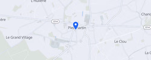 Les foulées pleumartinoises