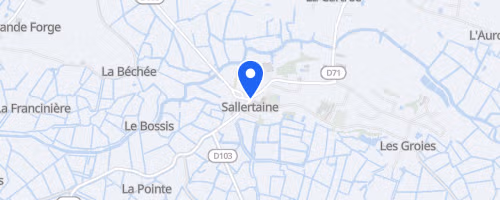 La Course Des Deux Clochers - Sallertaine