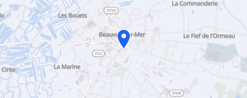 Les foulées du Gois - Beauvoir-sur-Mer