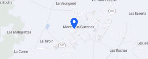 Foulées de Monts-sur-Guesnes