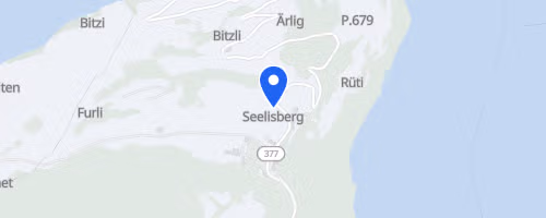 Berglauf Seelisberg