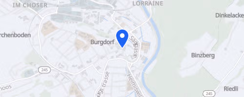 Burgdorfer Stadtlauf