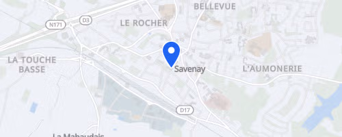 Les foulées du sillon de Bretagne - Savenay