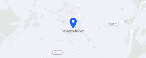 Corrida Des Lampions - Savigny Le Sec