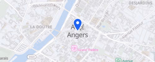 Swim In Maine Angers - 2.5 km 2026