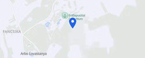 II. Mozaik Med Debreceni Futófesztivál