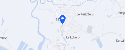 Foulées de Billiers