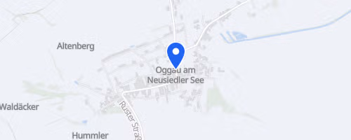 Oggauer ROTE NASEN LAUF