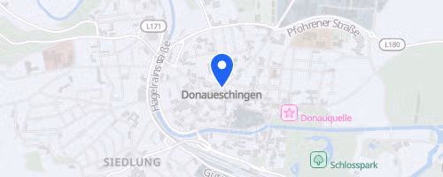 Stadtlauf Donaueschingen