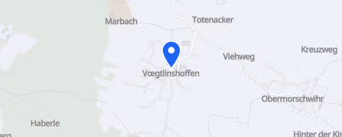 Course De La Fête Du Rabseppi - Voegtlinshofen