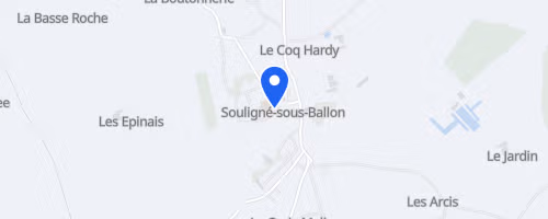 Les Foulées des Portes du Maine