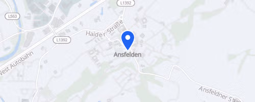 ANSer Panoramalauf