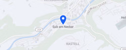 Firmenlauf Sulz am Neckar