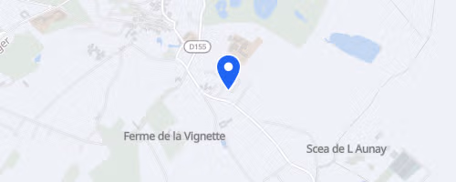 Course des flambeaux