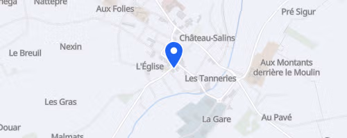 Foulées du Saulnois