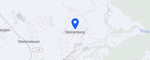 39. Steinenberger Waldlauf