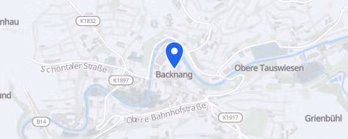 39. Backnanger Silvesterlauf 2026